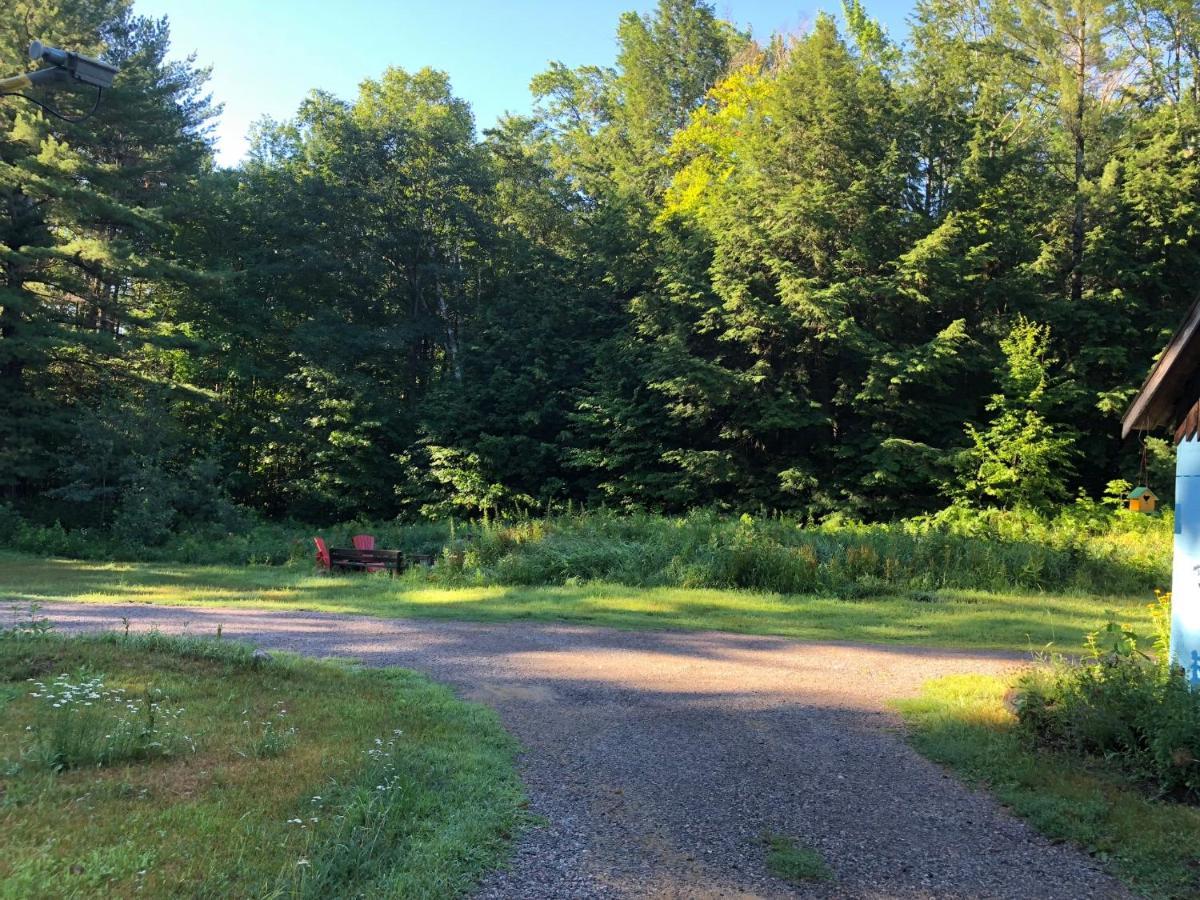 Country Living Bed and Breakfast Gravenhurst Εξωτερικό φωτογραφία