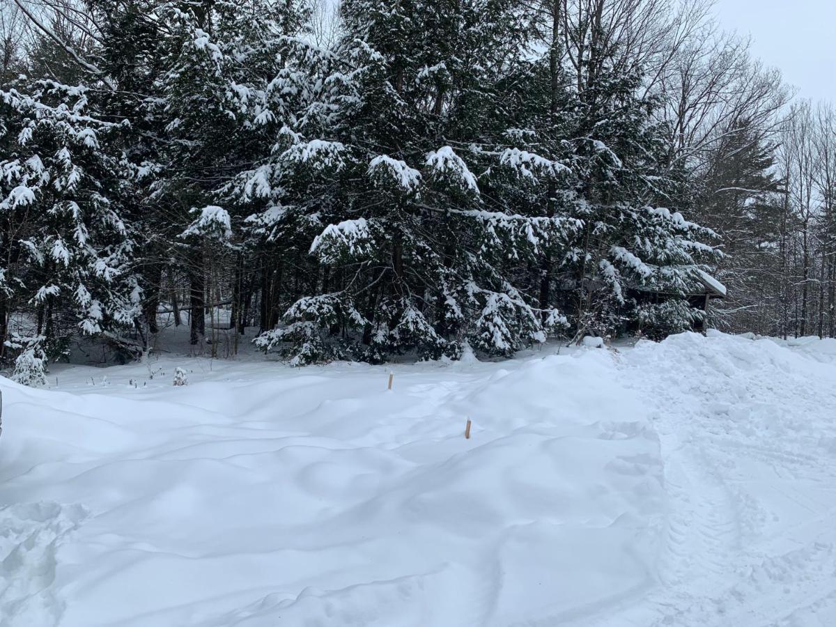 Country Living Bed and Breakfast Gravenhurst Εξωτερικό φωτογραφία
